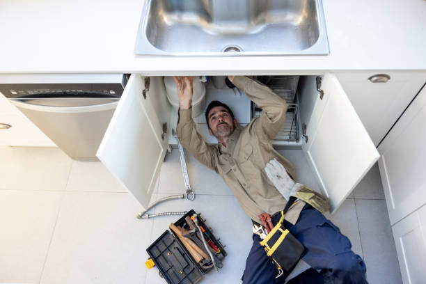 Best Leak Detection Services  in South Barrington, IL