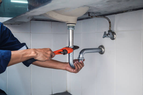 Best Affordable Plumber Near Me  in South Barrington, IL