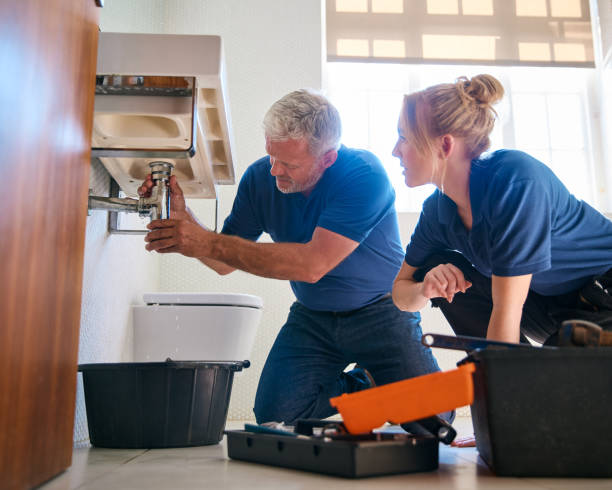 Best Plumbing Inspection Services  in South Barrington, IL